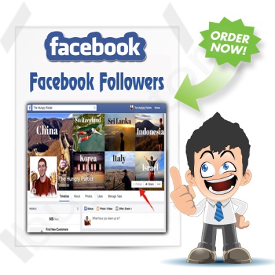 buy instagram followers 2013